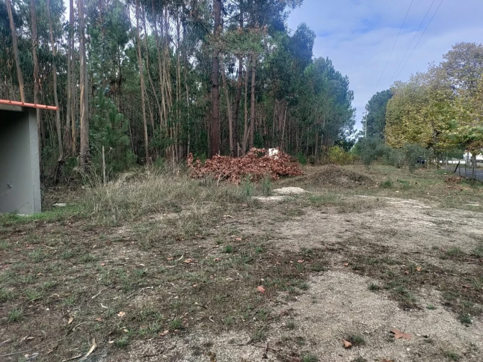 Terreno para Venda em Nadadouro Foto 3