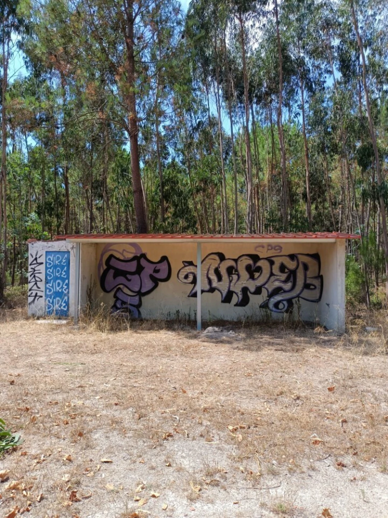 Terreno para Venda em Nadadouro Foto 5