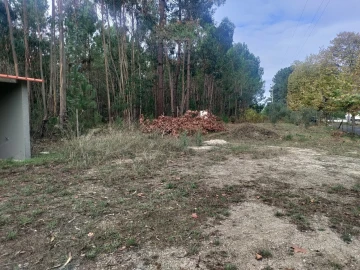 Terreno para Venda em Nadadouro