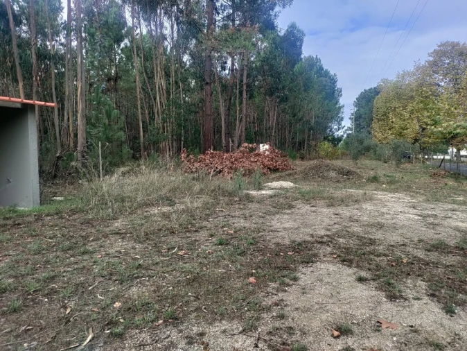 Terreno para Venda em Nadadouro Foto 3