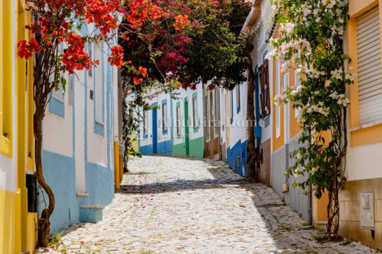 Terreno para Venda em Ferragudo Foto 5