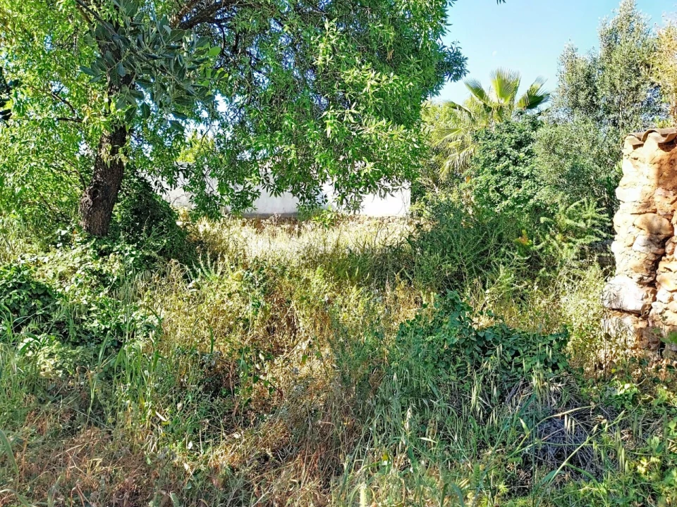 Terreno para Venda em Boliqueime Foto 6