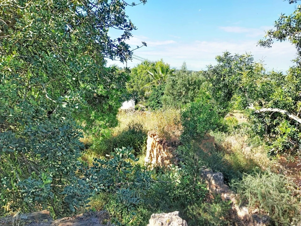 Terreno para Venda em Boliqueime Foto 8