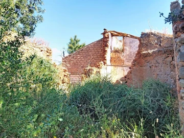 Terreno para Venda em Boliqueime