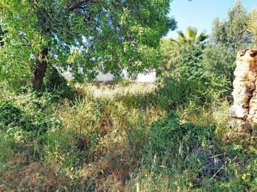 Terreno para Venda em Boliqueime
