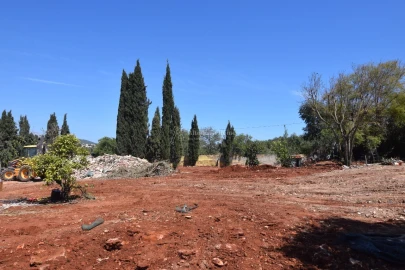 Terreno para Venda em Almancil