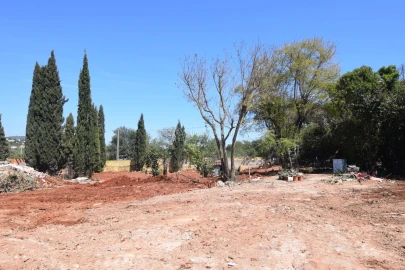 Terreno para Venda em Almancil