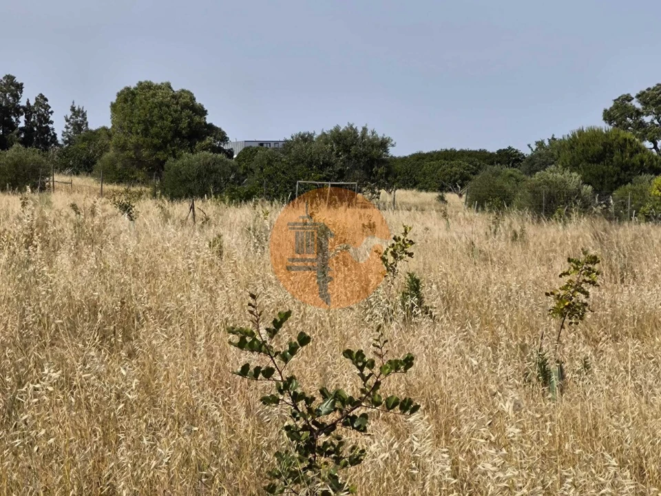 Negócio para Venda em Castro Marim Foto 64
