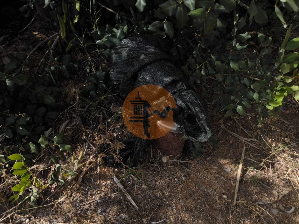 Negócio para Venda em Castro Marim Foto 75