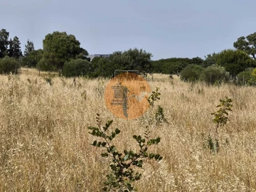 Negócio para Venda em Castro Marim