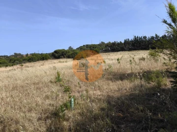 Negócio para Venda em Castro Marim