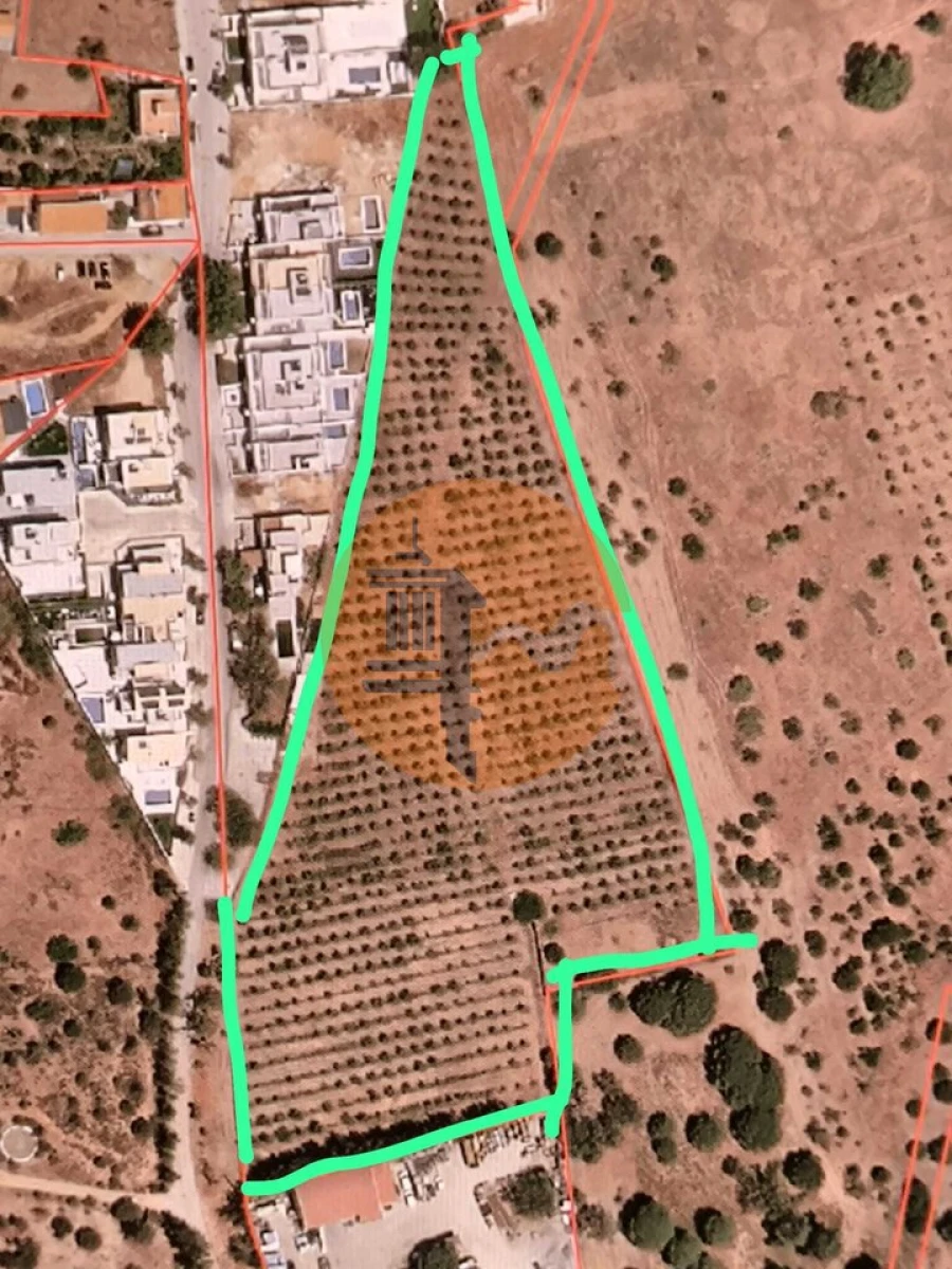 Negócio para Venda em Castro Marim Foto 12