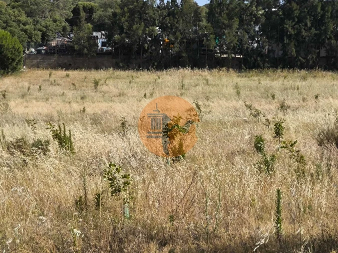 Negócio para Venda em Castro Marim Foto 59