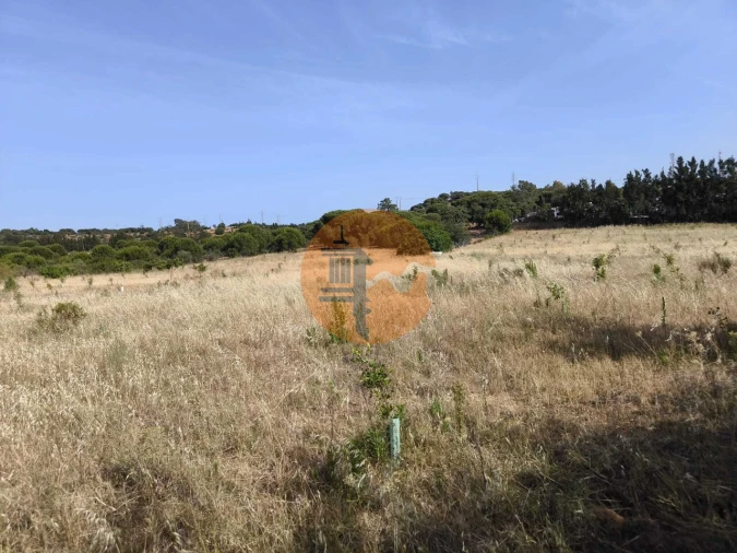 Negócio para Venda em Castro Marim Foto 65