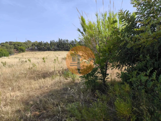 Negócio para Venda em Castro Marim Foto 67