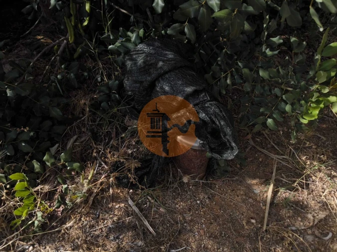 Negócio para Venda em Castro Marim Foto 75
