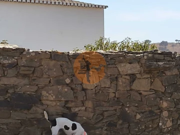 Moradia T0 para Venda em Conceição e Cabanas de Tavira