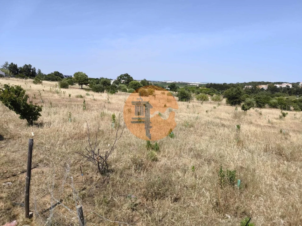 Quinta T3 para Venda em Castro Marim Foto 53