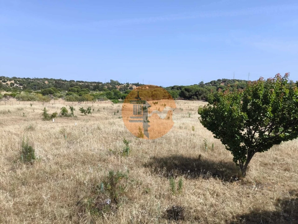 Quinta T3 para Venda em Castro Marim Foto 55
