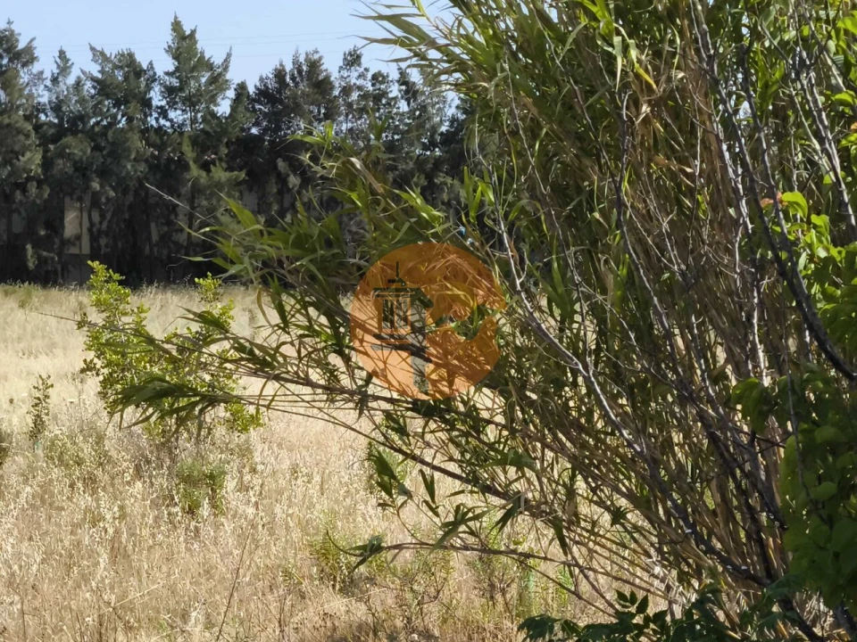 Quinta T3 para Venda em Castro Marim Foto 58