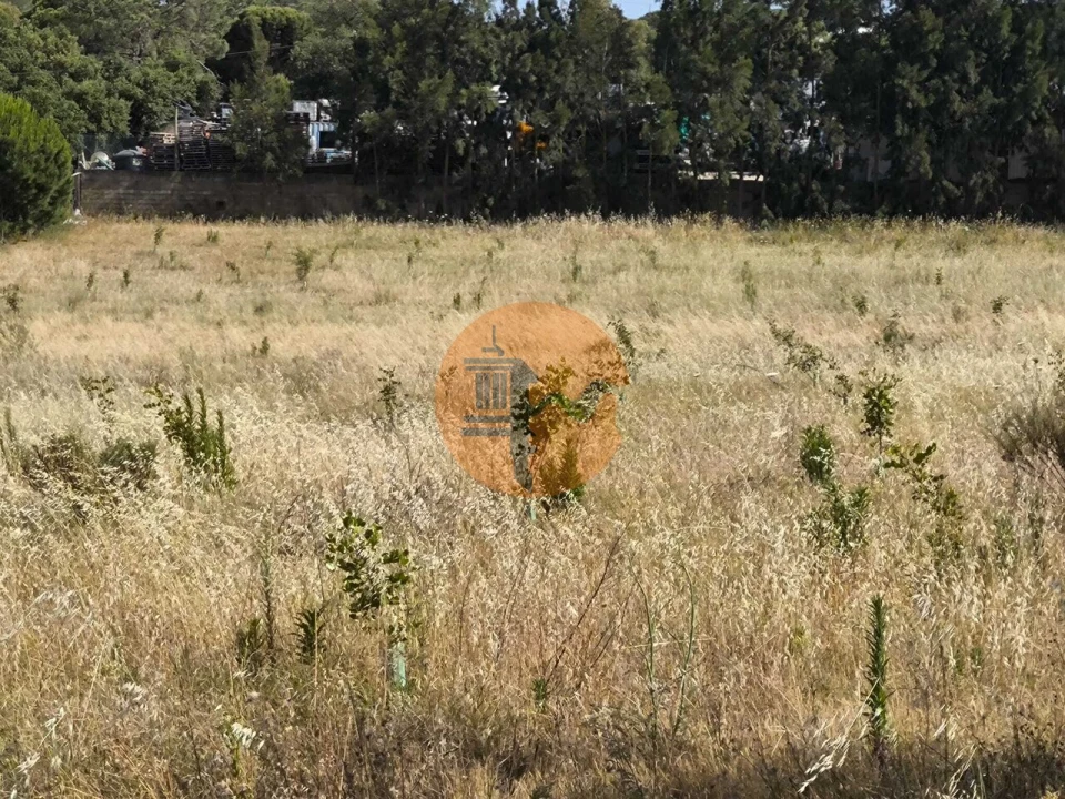 Quinta T3 para Venda em Castro Marim Foto 59