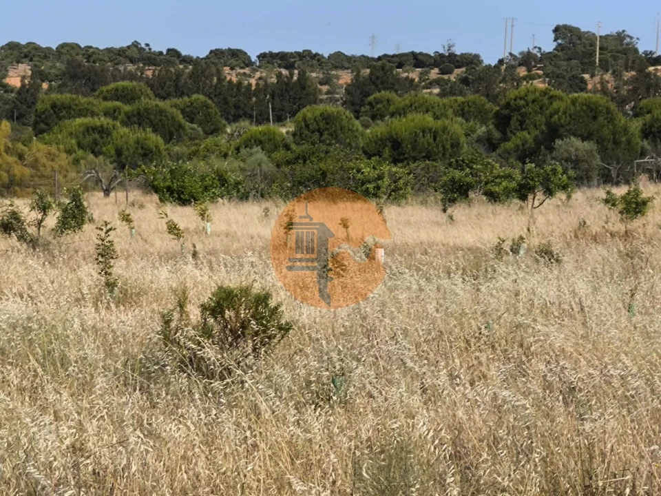 Quinta T3 para Venda em Castro Marim Foto 60