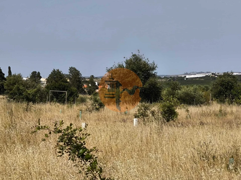Quinta T3 para Venda em Castro Marim Foto 63
