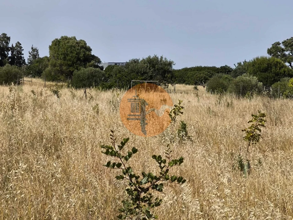 Quinta T3 para Venda em Castro Marim Foto 64