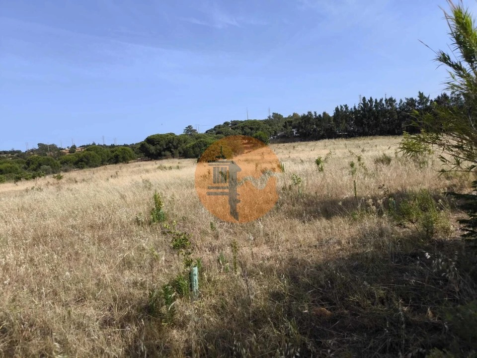 Quinta T3 para Venda em Castro Marim Foto 68