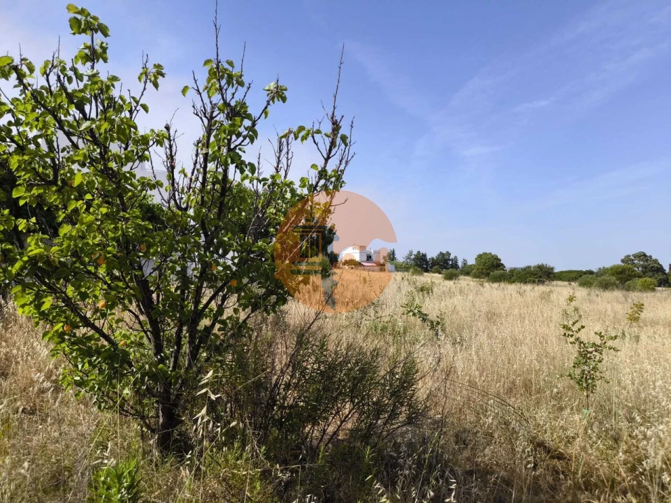 Quinta T3 para Venda em Castro Marim Foto 70