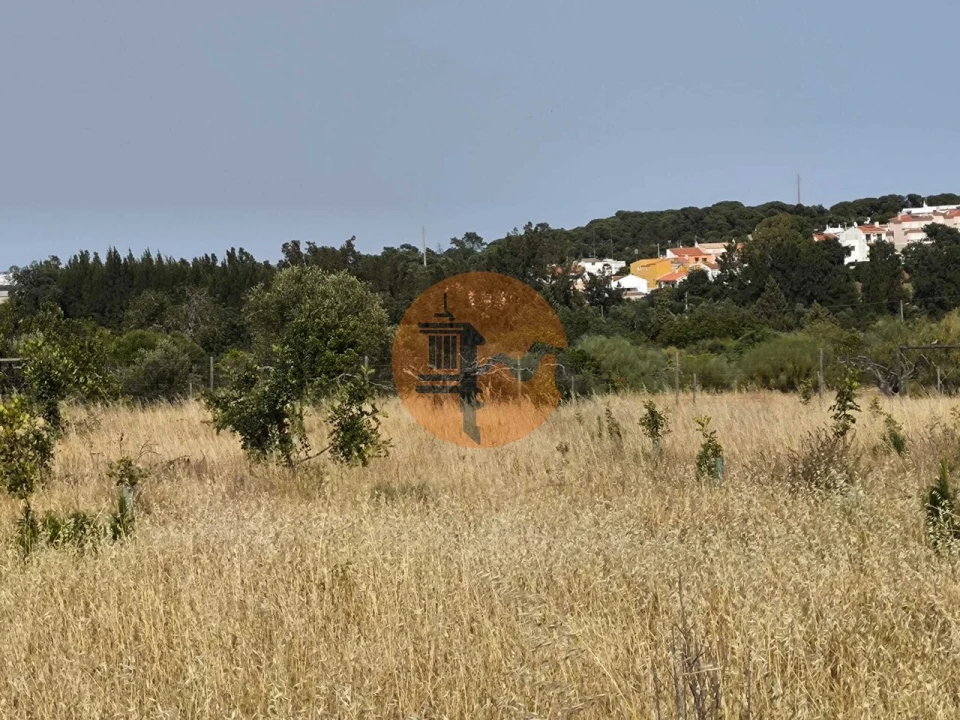 Quinta T3 para Venda em Castro Marim Foto 74