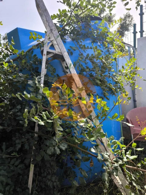 Quinta T3 para Venda em Castro Marim