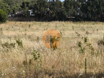 Quinta T3 para Venda em Castro Marim