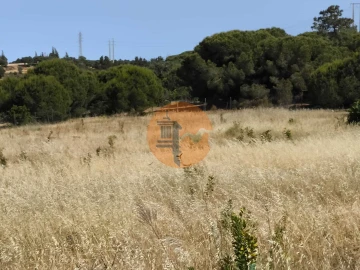 Quinta T3 para Venda em Castro Marim