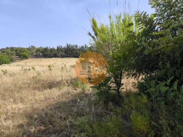 Quinta T3 para Venda em Castro Marim