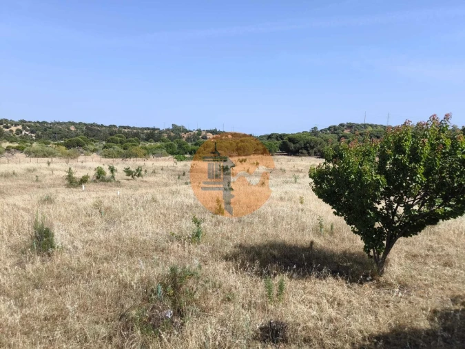 Quinta T3 para Venda em Castro Marim Foto 55