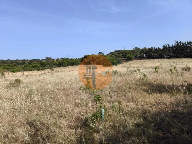 Quinta T3 para Venda em Castro Marim Foto 65