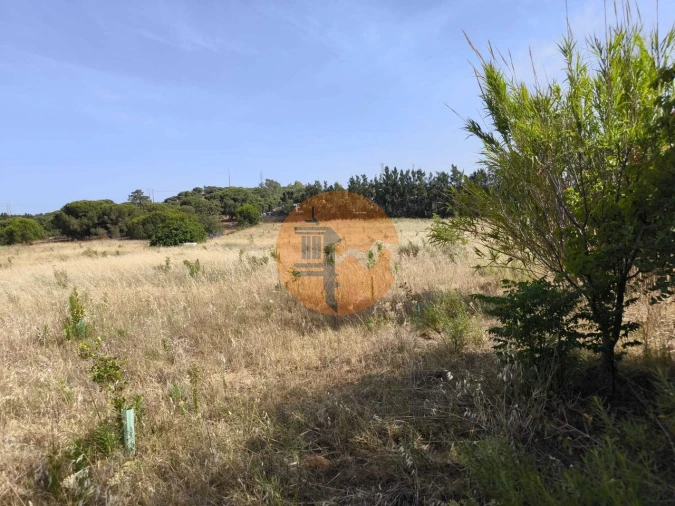 Quinta T3 para Venda em Castro Marim Foto 66