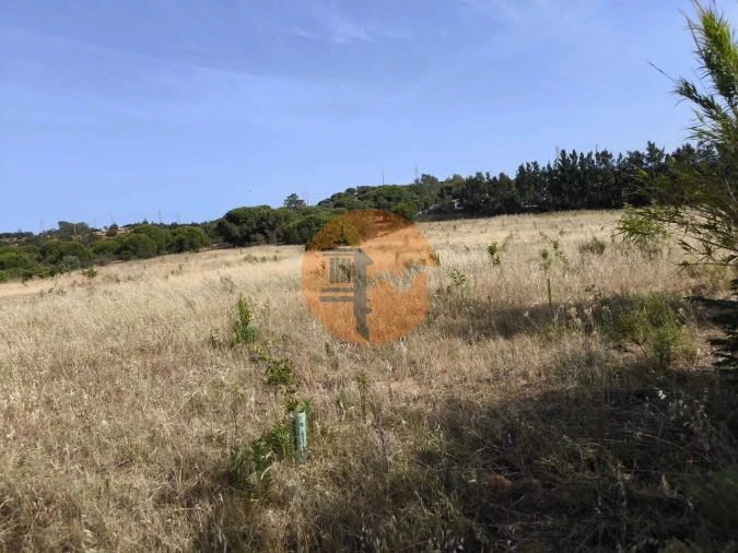 Quinta T3 para Venda em Castro Marim Foto 68