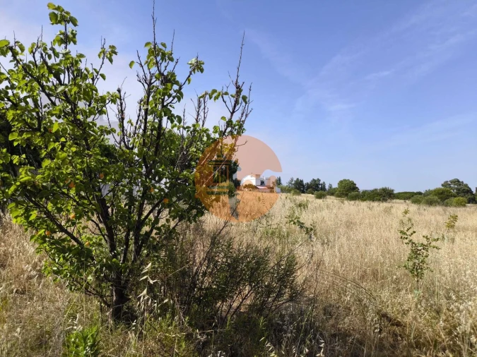 Quinta T3 para Venda em Castro Marim Foto 70