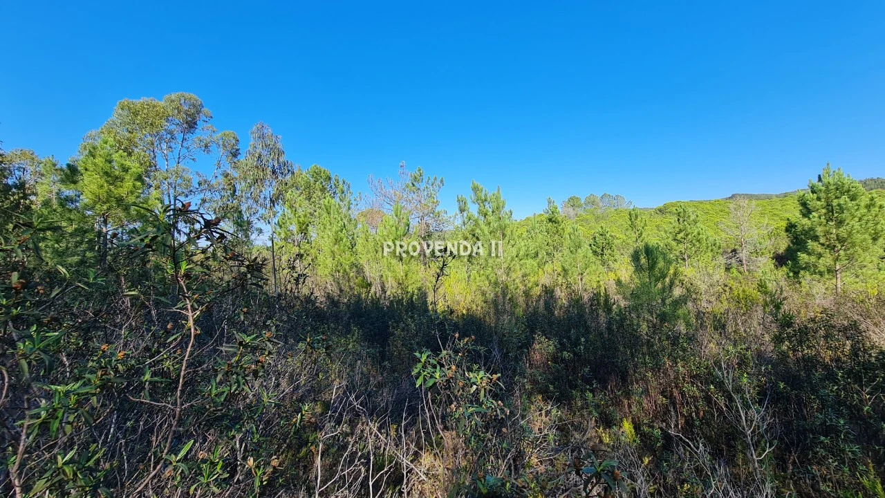 Negócio para Venda em Aljezur Foto 10