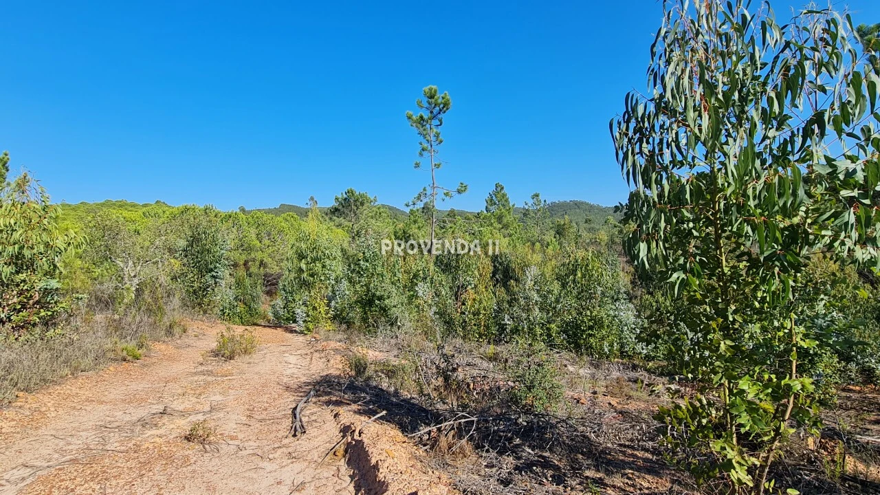 Negócio para Venda em Aljezur Foto 12