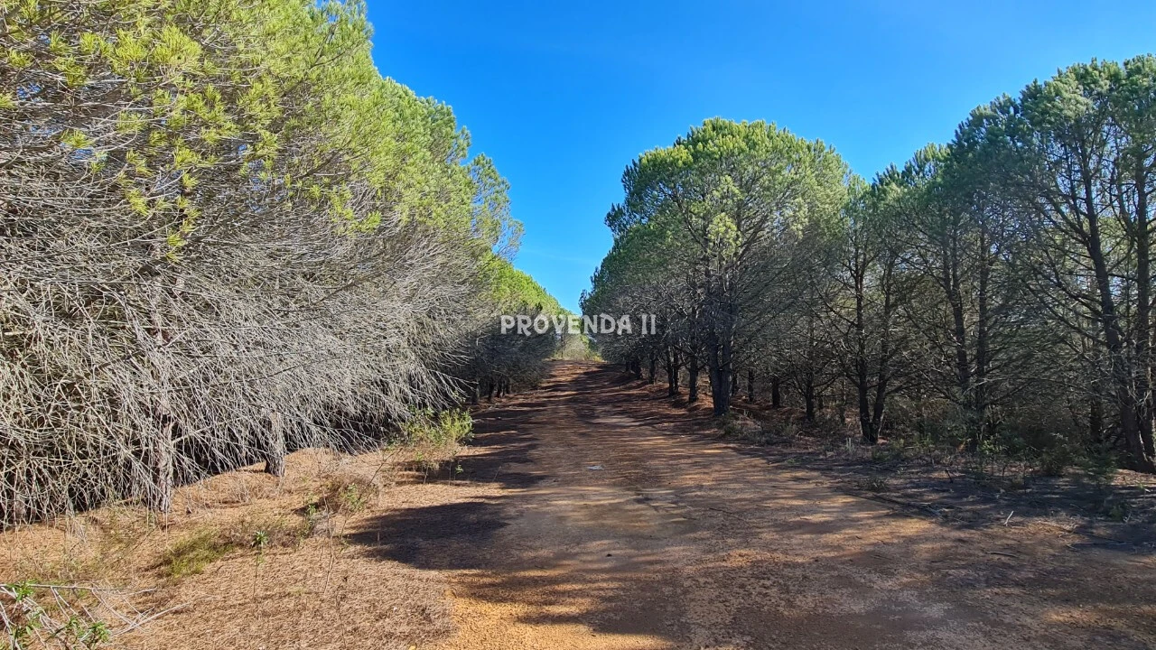 Negócio para Venda em Aljezur Foto 16