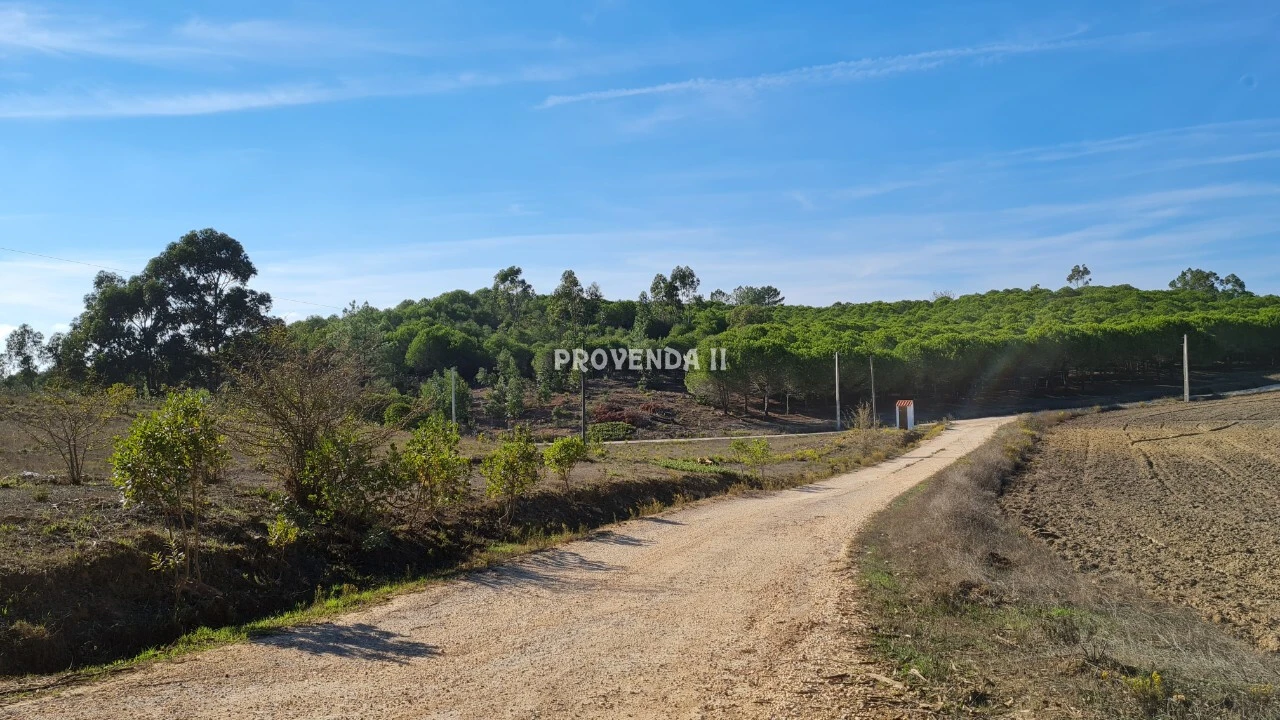 Negócio para Venda em Aljezur Foto 17