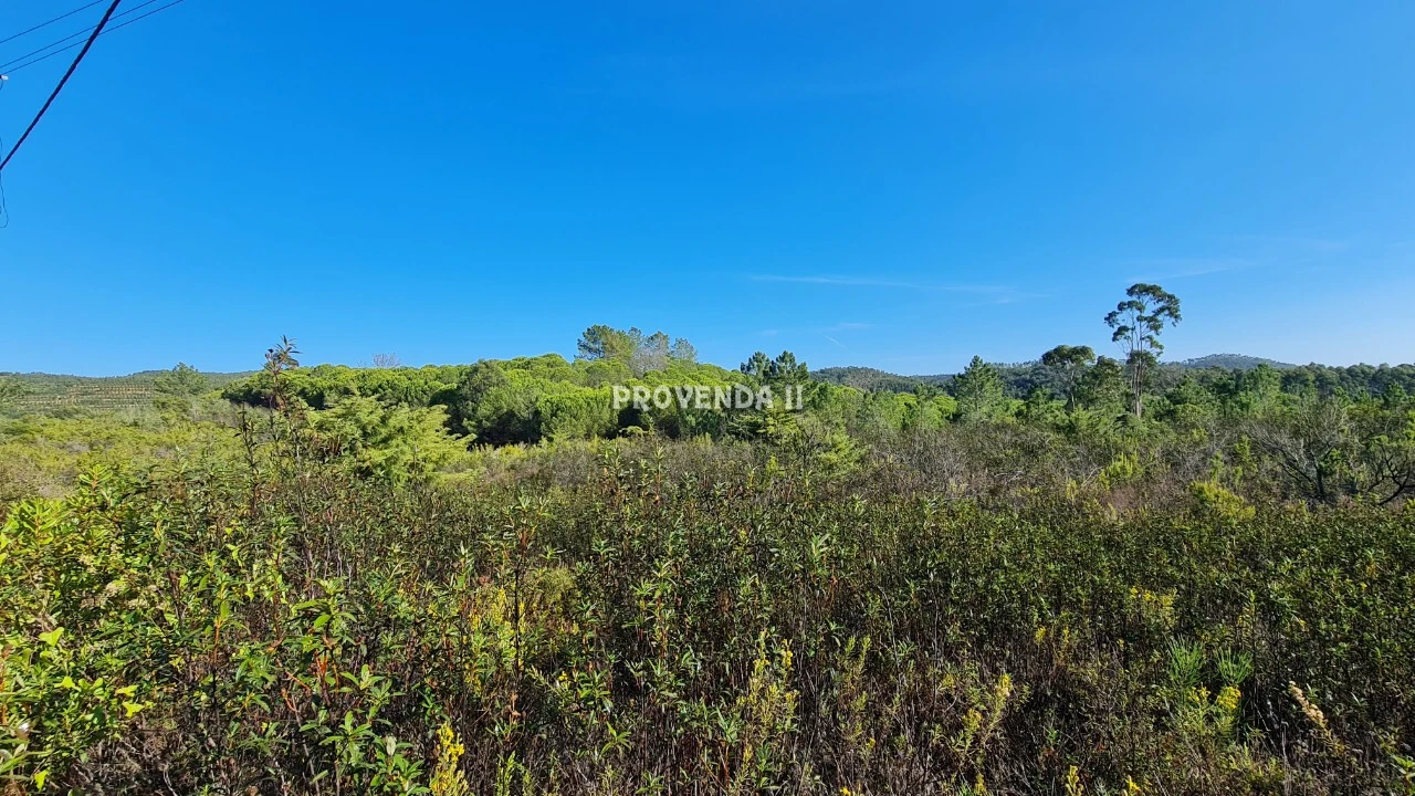 Negócio para Venda em Aljezur Foto 18