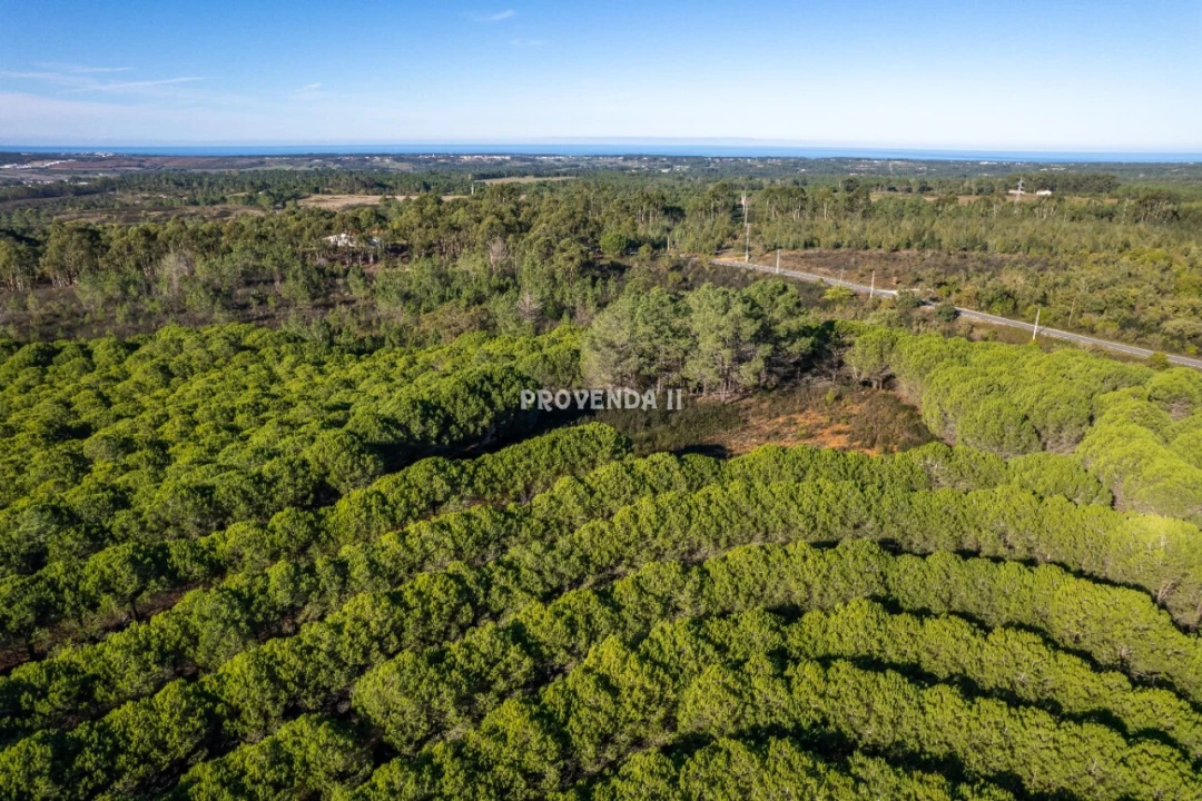 Negócio para Venda em Aljezur Foto 2