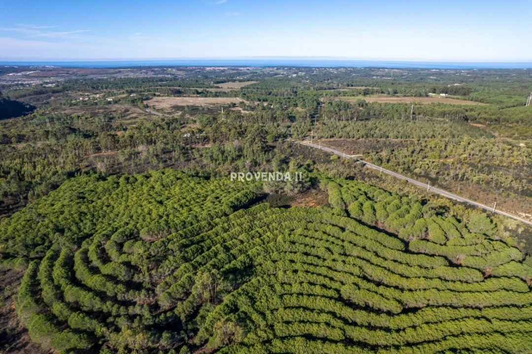 Negócio para Venda em Aljezur Foto 3