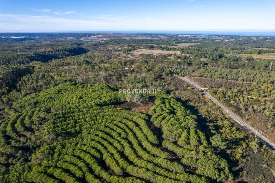 Negócio para Venda em Aljezur Foto 4