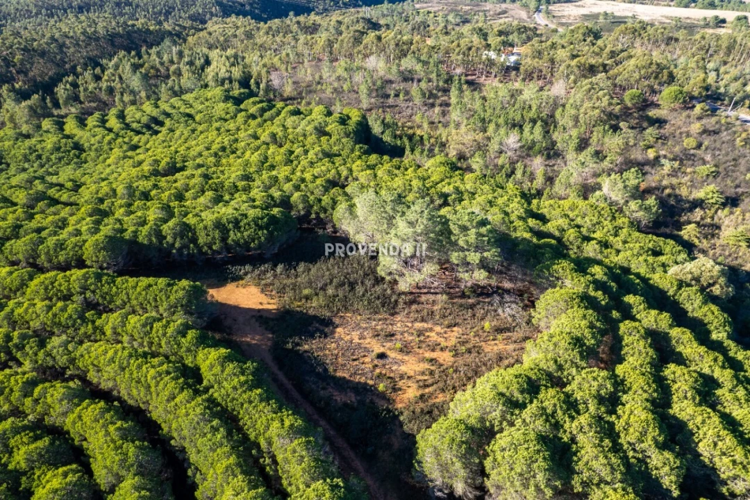 Negócio para Venda em Aljezur Foto 5