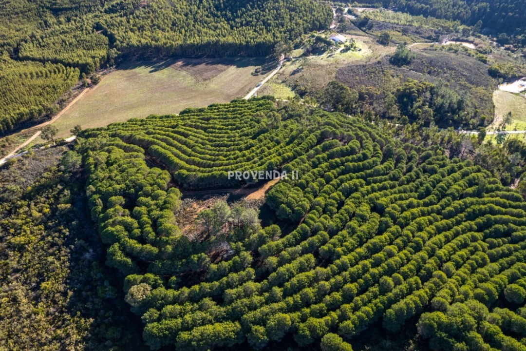 Negócio para Venda em Aljezur Foto 7